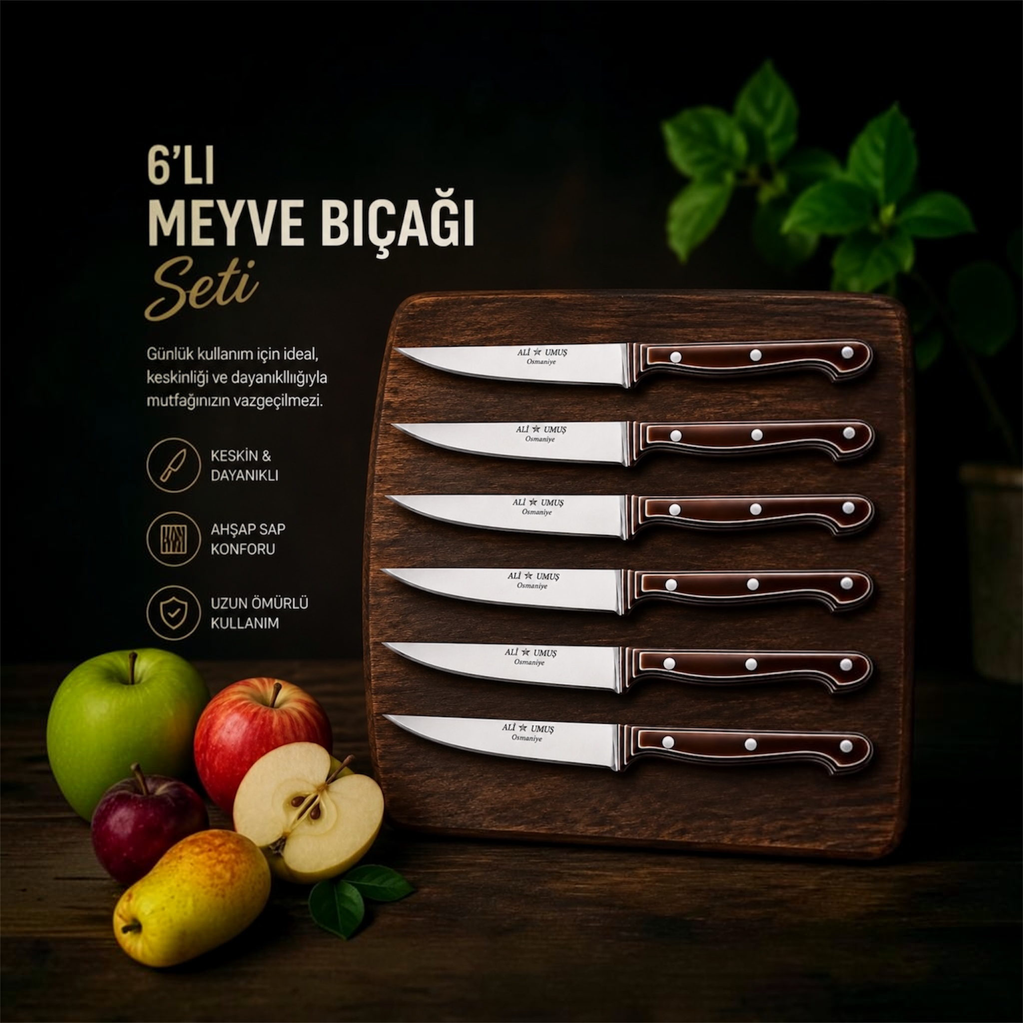 Meyve Bıçağı Seti 6'lı Ali Umuş Premium, Alman 1.4116 Çelik-2
